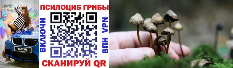 Галлюциногенные грибы прущие грибы  Купить закладки  Ядрин 